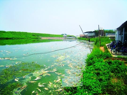 懷疑電鍍廠排污
