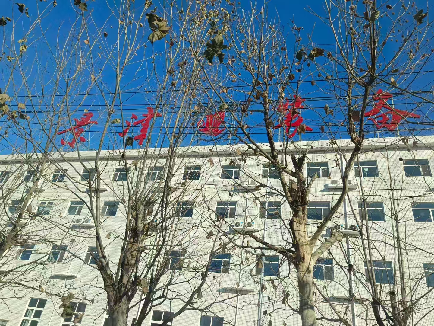 微信圖片_20250108162933.jpg